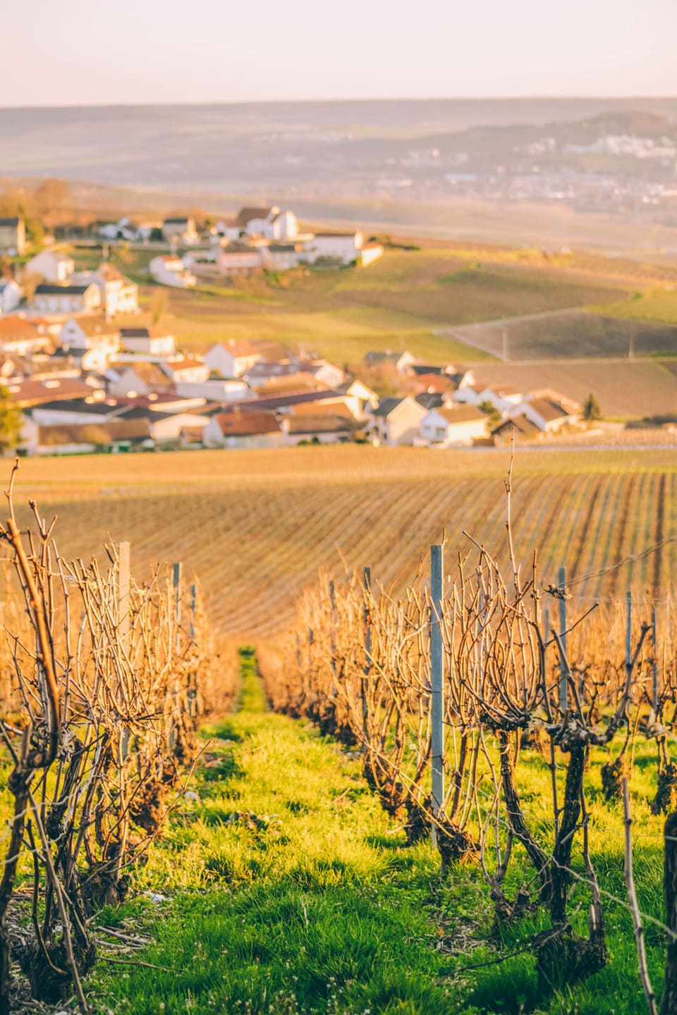 Biking around Epernay in France, Vacation rental