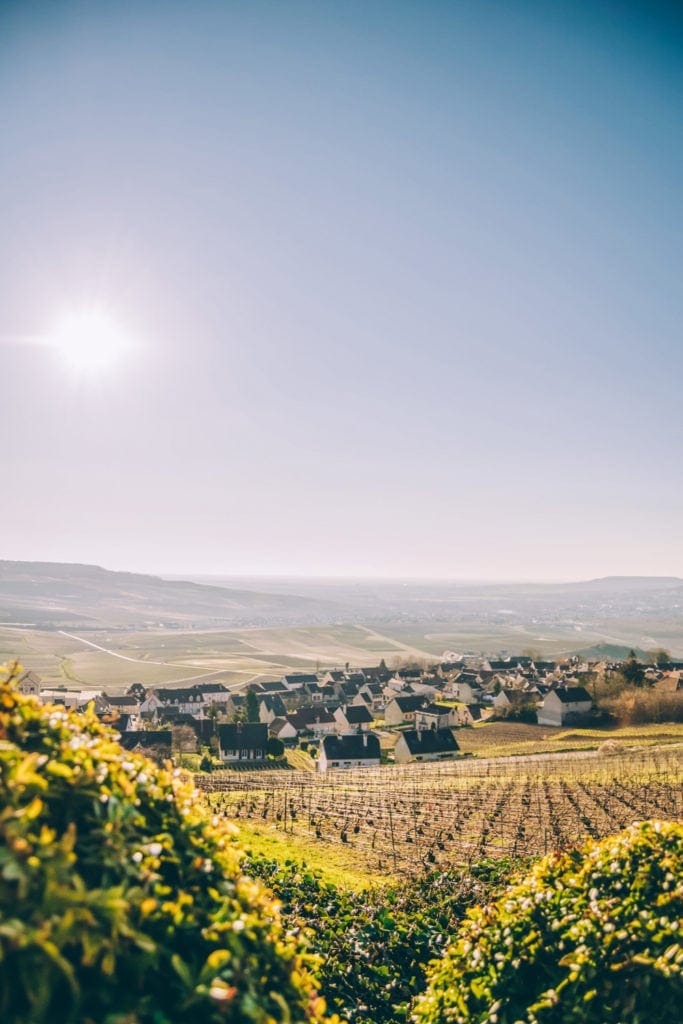 Biking around Epernay in France, Vacation rental