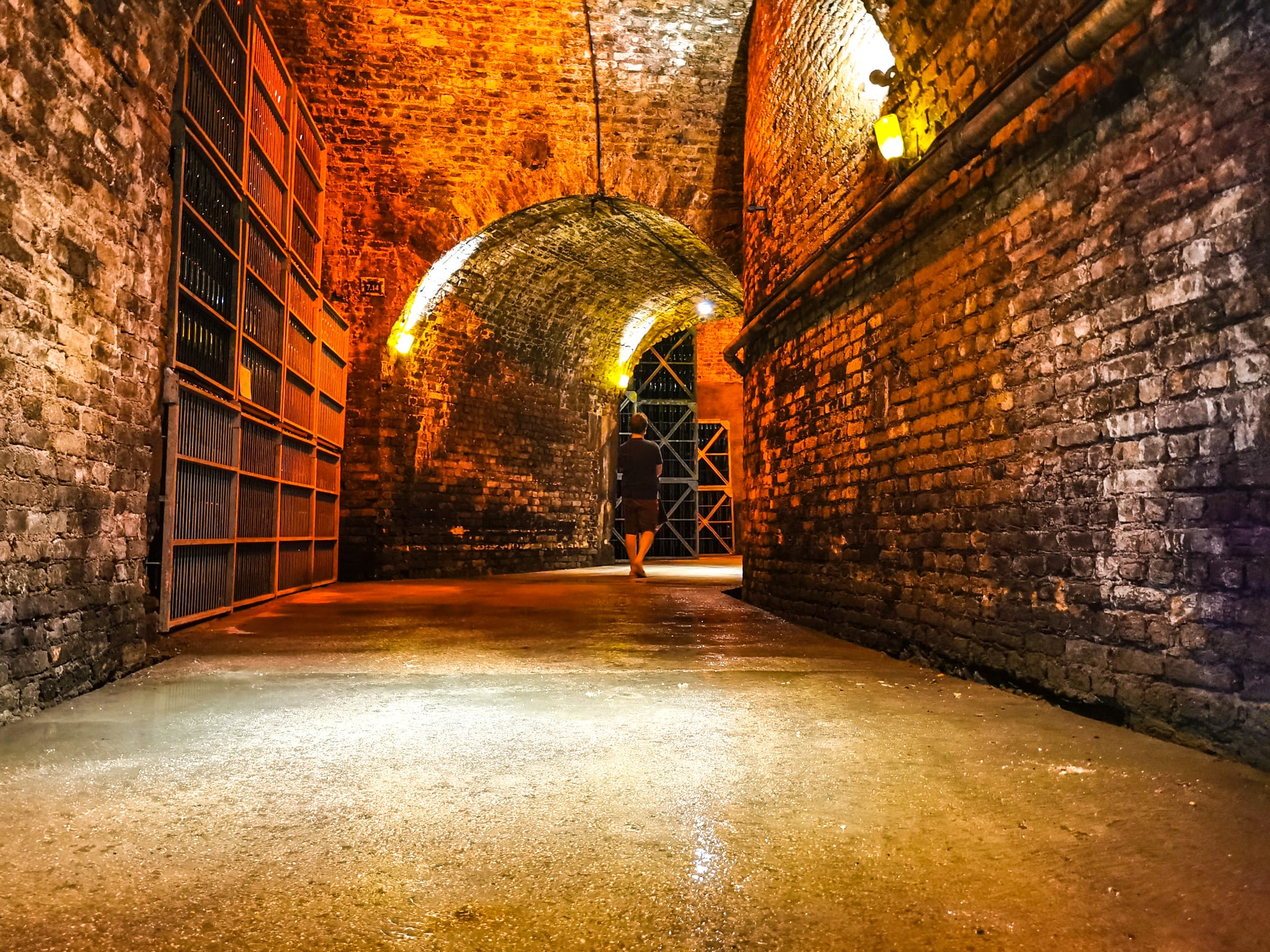 Visit Épernay and its champagne cellars