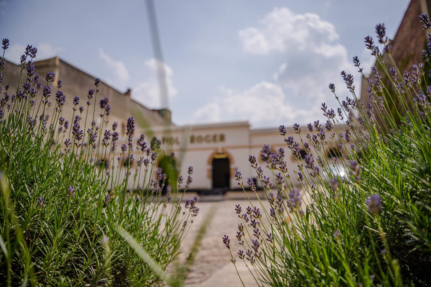 Programme pour 2 jours à Epernay en Champagne
Avenue de Champagne