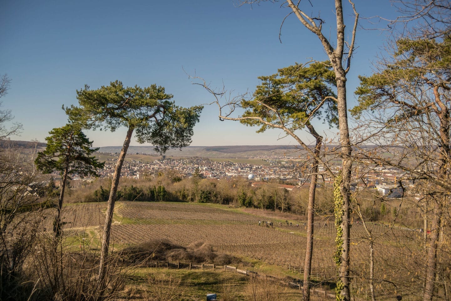 Highligts in Champagne
View from Mont Bernon
Epernay