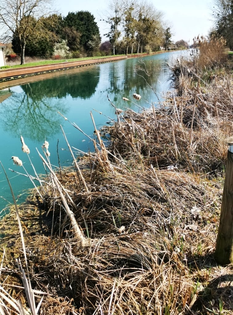 Along the canal on the greenway in Ay-Champagne
Discover Epernay and its region by bike