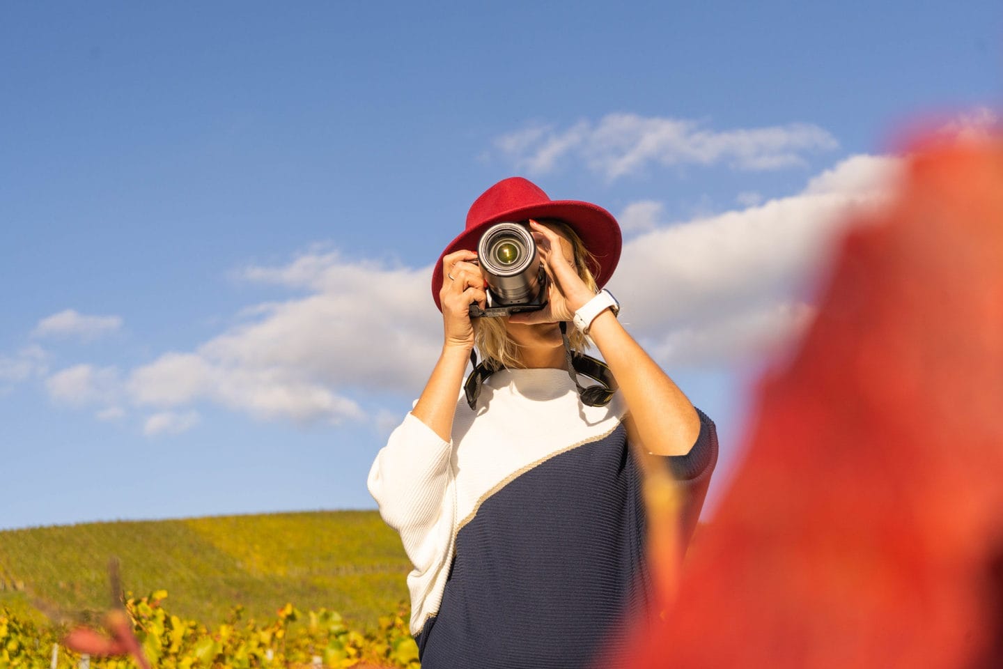 Visitez la Champagne en Automne
Profitez des belles couleurs
Venez à Epernay, Capitale du Champagne classé au Patrimoine mondiale de l'UNESCO