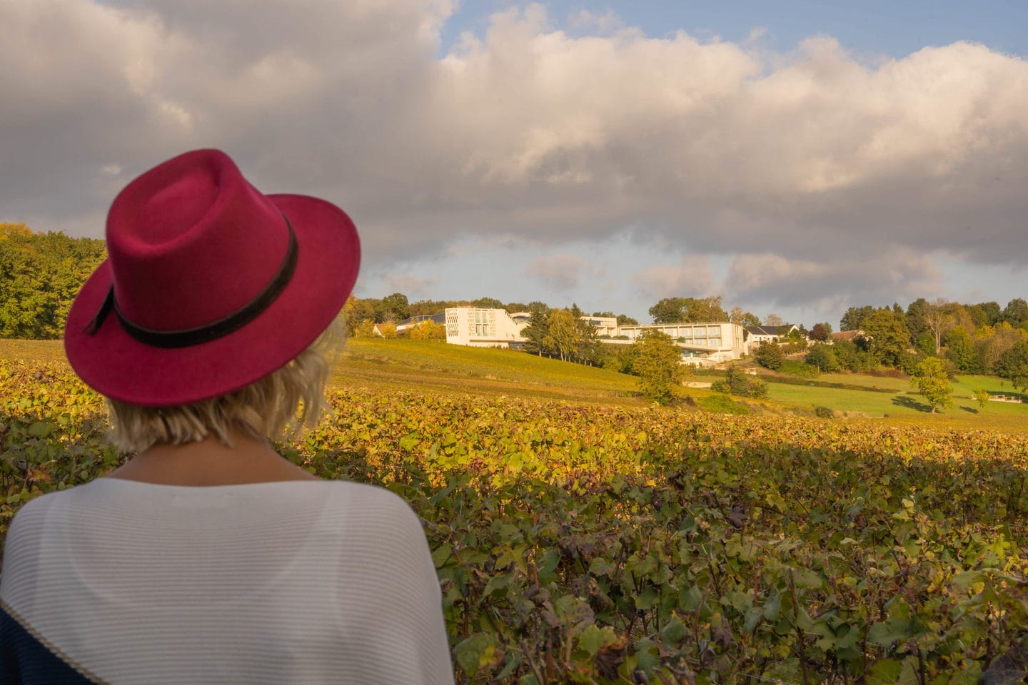 Visitez la Champagne en Automne
Profitez des belles couleurs
Venez à Epernay, Capitale du Champagne classé au Patrimoine mondiale de l'UNESCO