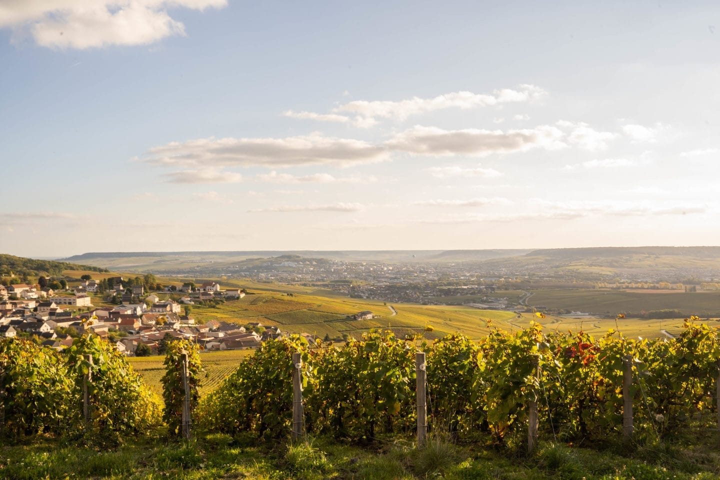 Visitez la Champagne en Automne
Profitez des belles couleurs
Venez à Epernay, Capitale du Champagne classé au Patrimoine mondiale de l'UNESCO