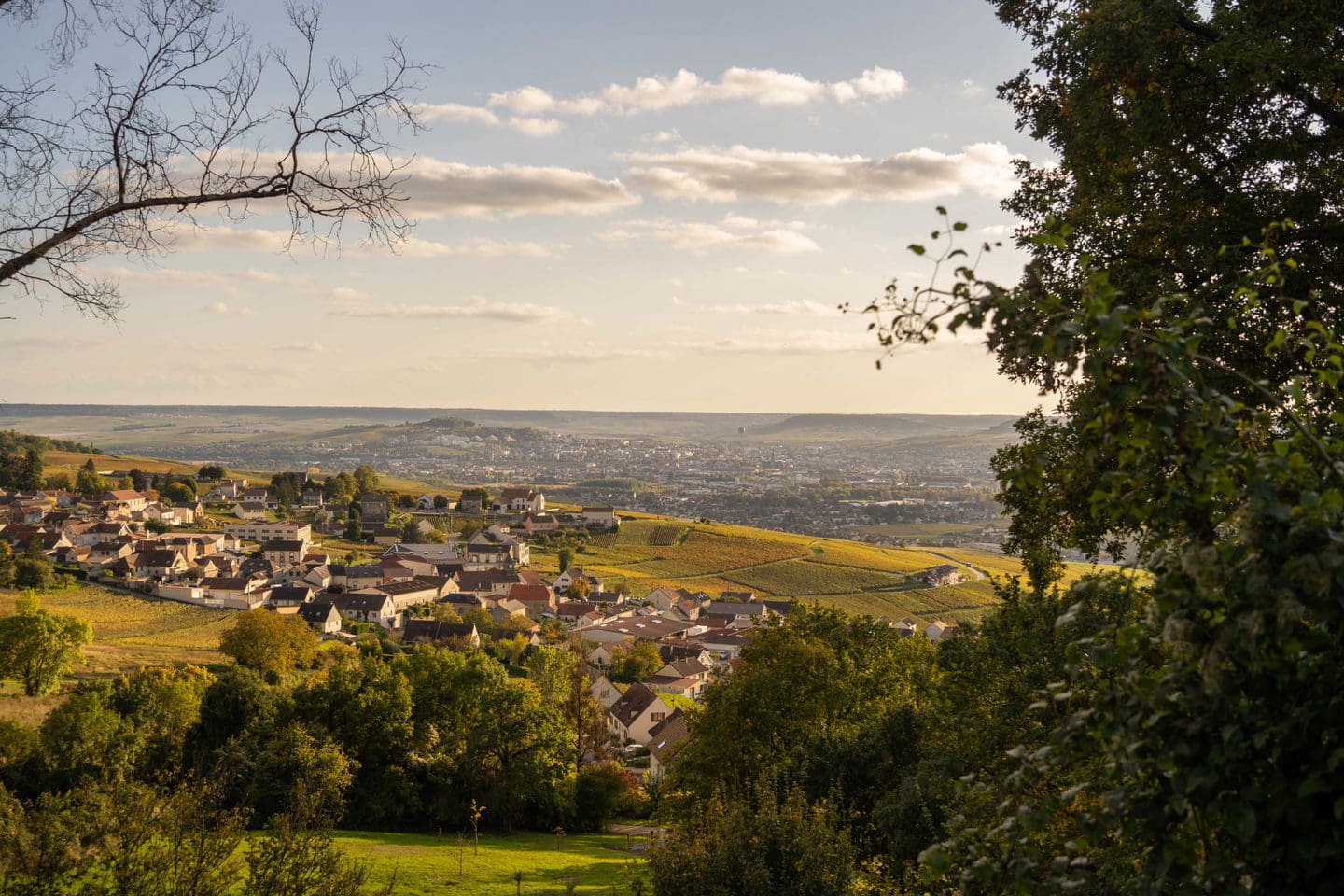 Visitez la Champagne en Automne
Profitez des belles couleurs
Venez à Epernay, Capitale du Champagne classé au Patrimoine mondiale de l'UNESCO