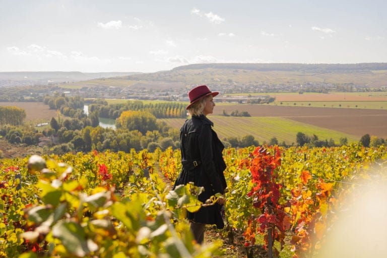 Visit Champagne in Autumn
Enjoy the beautiful colors
Come to Epernay, the capital of Champagne, classified as a UNESCO World Heritage Site