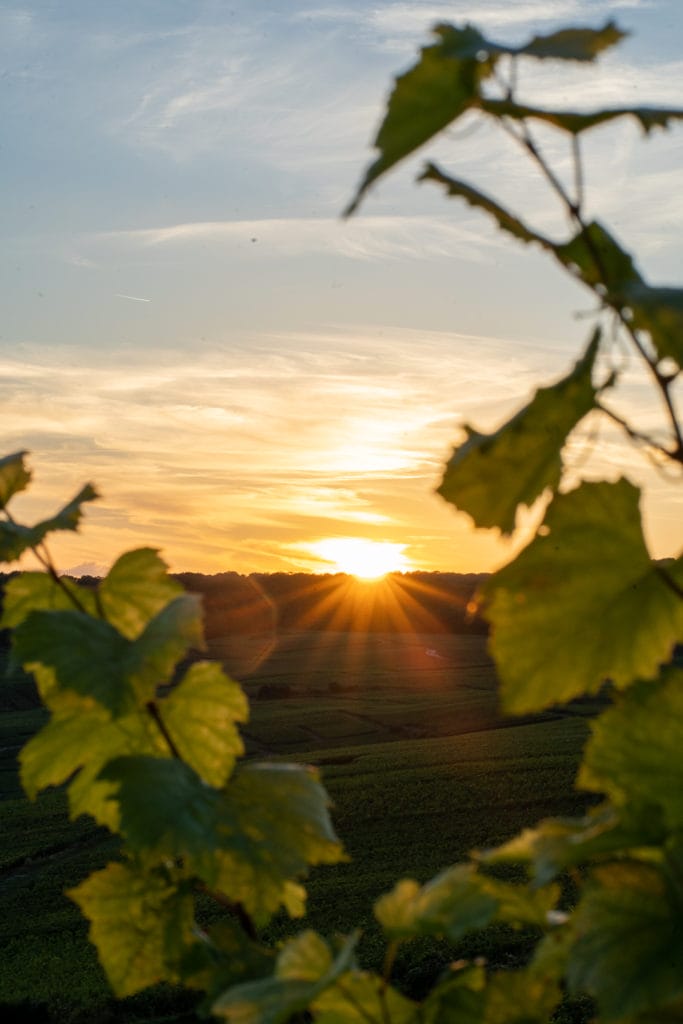 Découvrez Epernay et la Champagne pendant l'été et planifiez votre Weekend dans la région