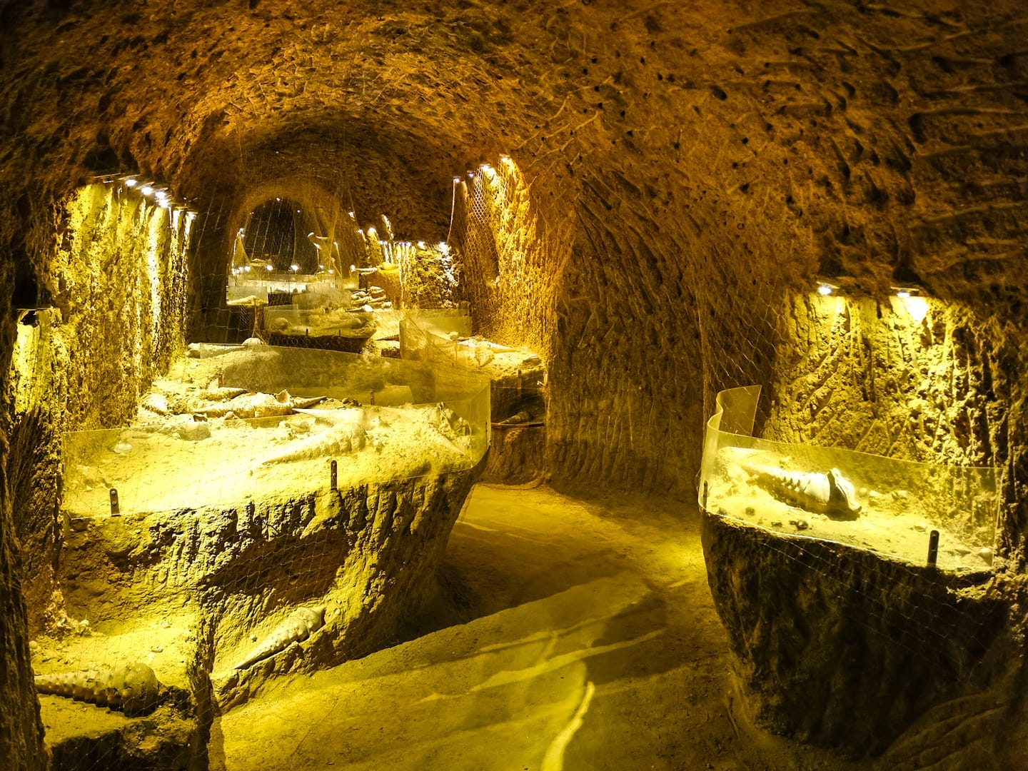 Visite de la Cave aux coquillages à Fleury la rivière
Incontournable en Champagne
