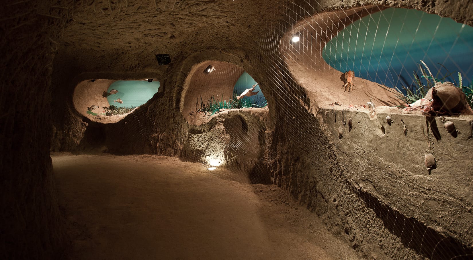 Visite de la Cave aux coquillages
Visite incontournable à Fleury la Rivière en Champagne