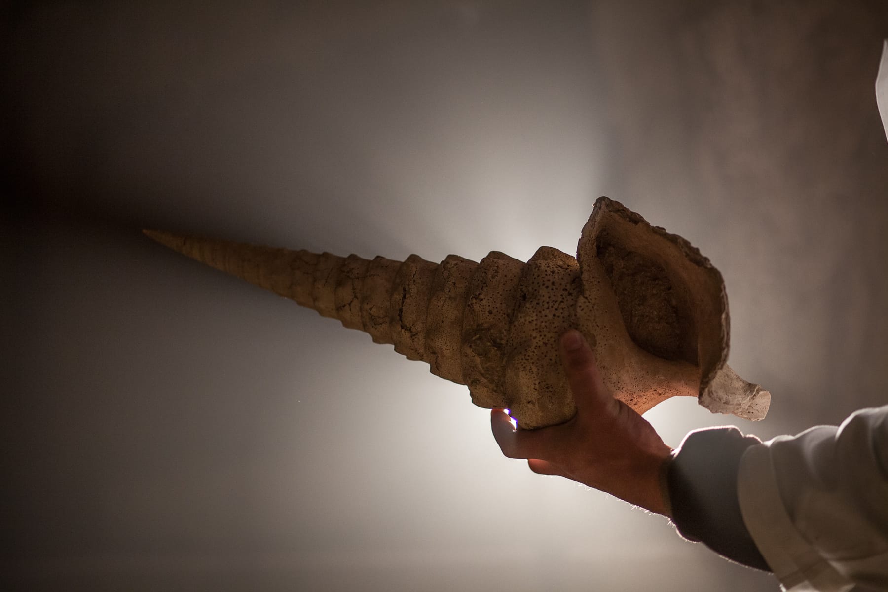 Cave aux coquillages