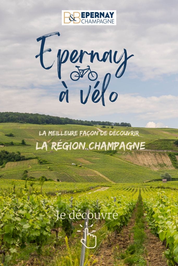 Location de vélo électrique pour visiter Epernay et la région Champagne
Découvrir les plus beaux paysages autour d'Epernay et Hautvillers près de la montagne de Reims