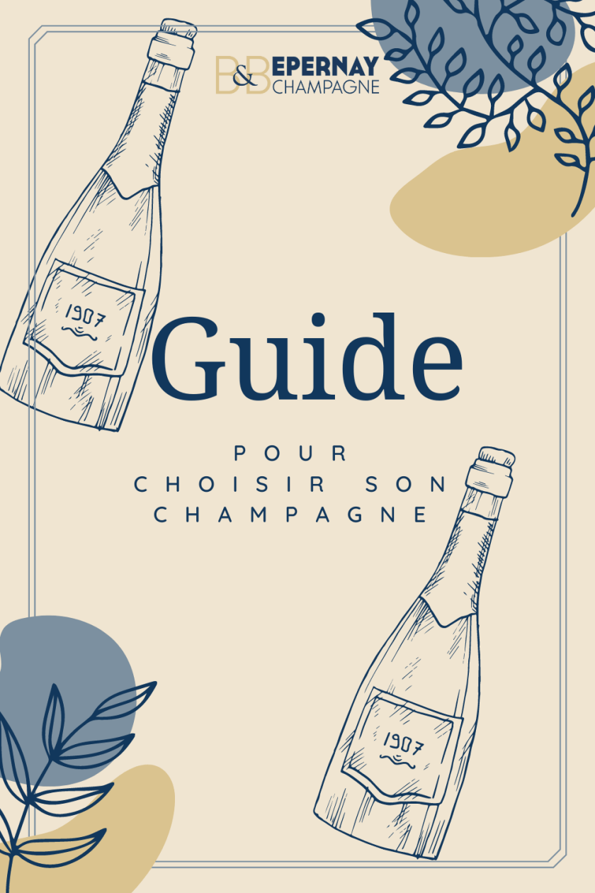 Que faut il savoir pour choisir son champagne
Guide pour choisir son champagne
blanc de noirs
Tout ce qu'il faut savoir pour choisir son champagne