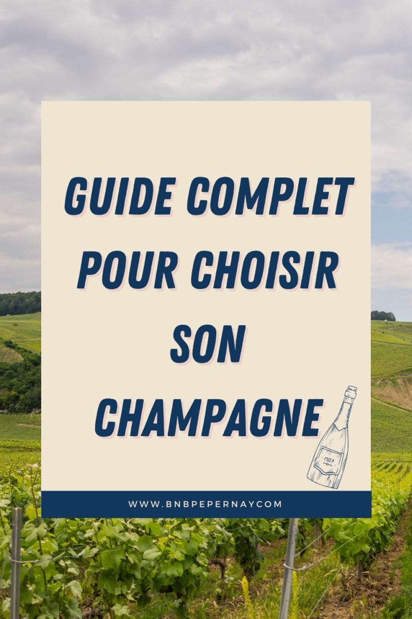 Que faut il savoir pour choisir son champagne
Guide pour choisir son champagne
blanc de noirs
Tout ce qu'il faut savoir pour choisir son champagne