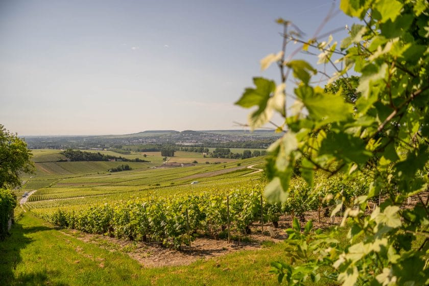 Visit Epernay and its famous Avenue de Champagne