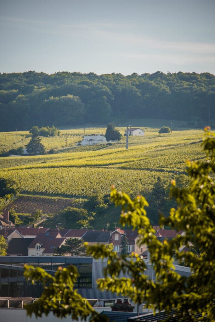 Découvrez Epernay et la Champagne pendant l'été et planifiez votre Weekend dans la région