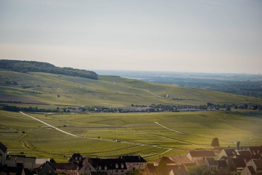 Découvrez Epernay et la Champagne pendant l'été et planifiez votre Weekend dans la région