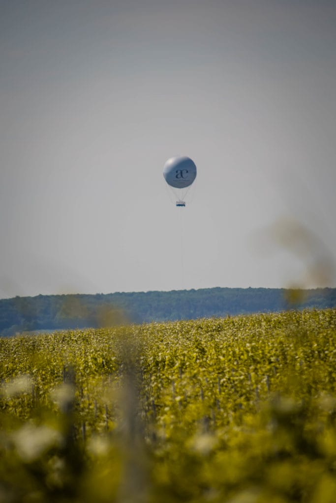 Découvrez Epernay et la Champagne pendant l'été et planifiez votre Weekend dans la région