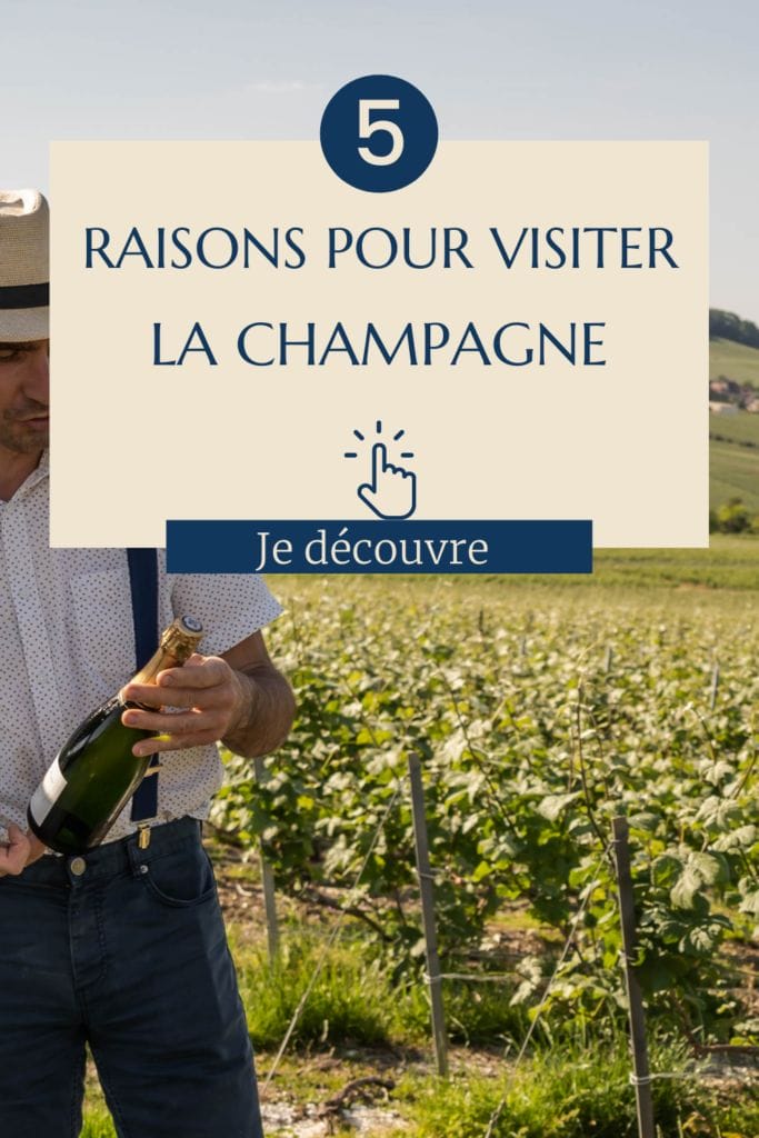 Découvrez 5 bonnes raisons pour découvrir Epernay et la région Champagne le temps d'un weekend