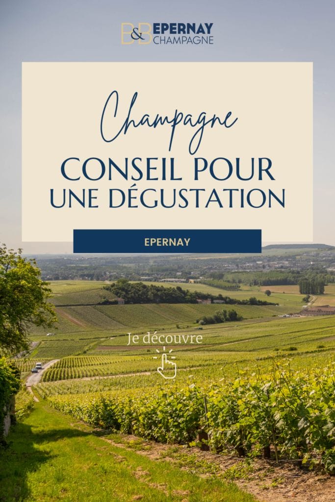 Les meilleurs conseils pour faire une dégustation de champagne pendant votre weekend à Epernay