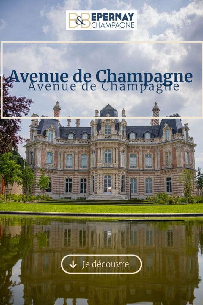 Vivre une expérience inoubliable en se baladant sur l'avenue de Champagne à Epernay