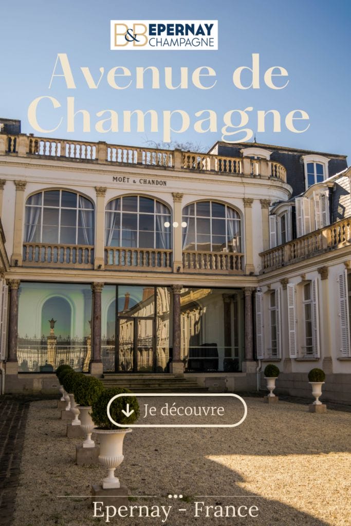 Vivre une expérience inoubliable en se baladant sur l'avenue de Champagne à Epernay