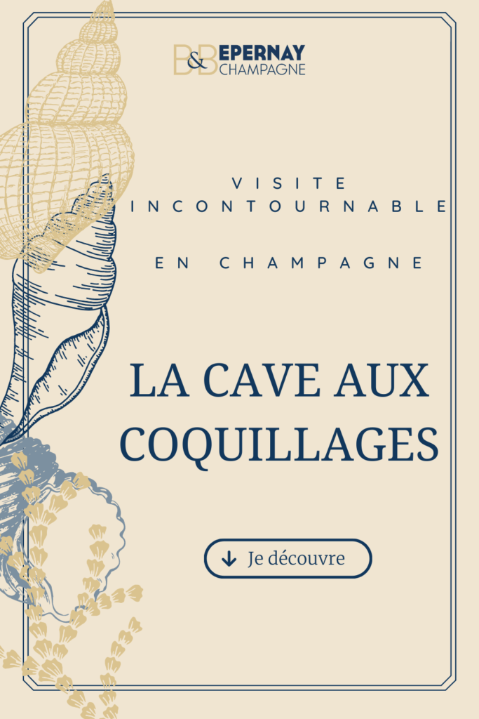 La cave aux coquillages est une visite intournable pendant votre weekend en Champagne 