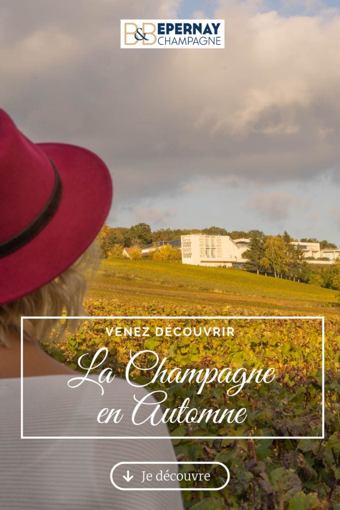 Le temps d'un Weekend en Champagne venez visiter le vignoble et les maisons de champagne entre Reims et Epernay