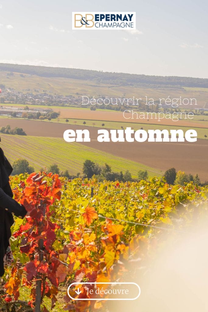 Le temps d'un Weekend en Champagne venez visiter le vignoble et les maisons de champagne entre Reims et Epernay