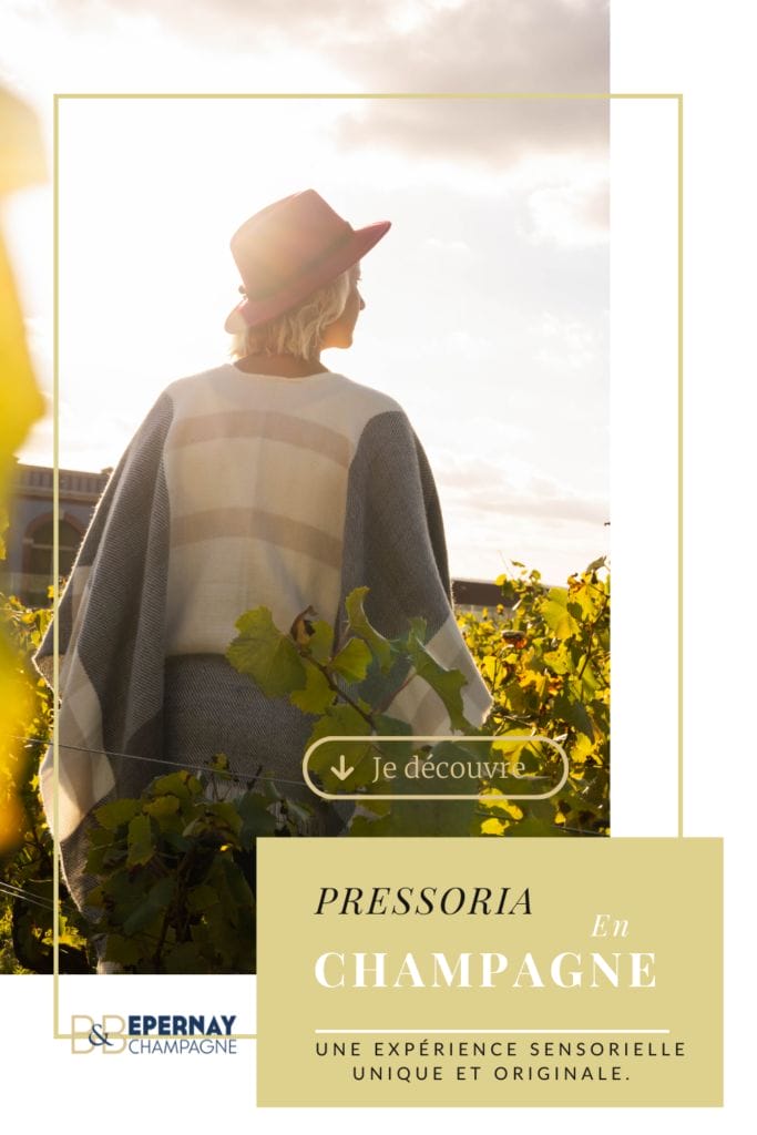 Pendant votre Weekend en Champagne
Visitez le musée Pressoria à Ay champagne
La visite de Pressoria est une véritable invitation au voyage