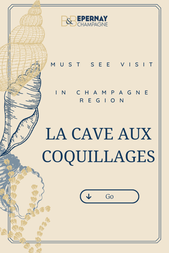 The shell cellar is a must-see during your weekend in Champagne 