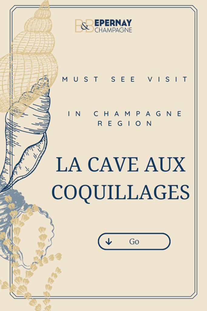 The shell cellar is a must-see during your weekend in Champagne