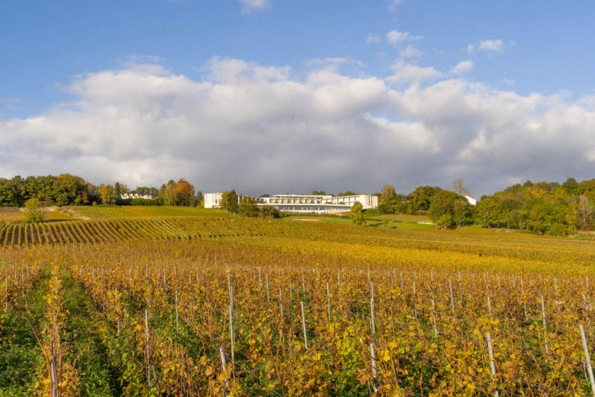 Visiter la champagne entre epernay et reims : points de vue à Champillon