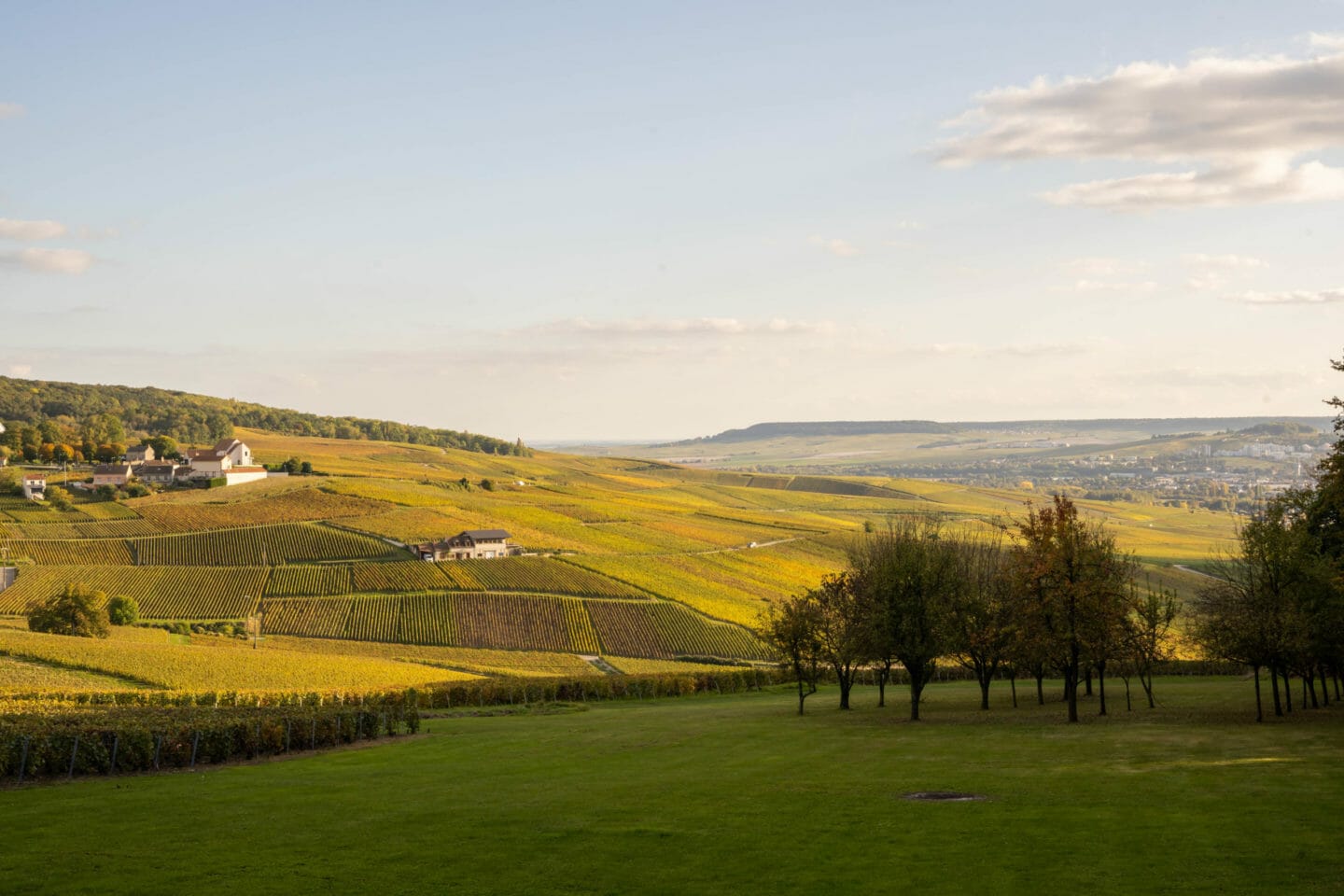 Incontournables entre Epernay et Reims