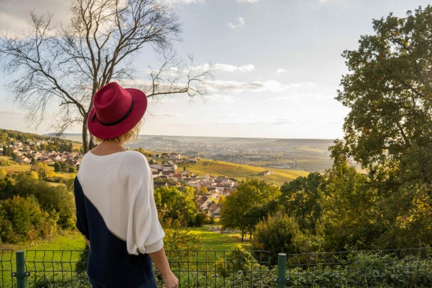 Visiter la champagne entre epernay et reims : points de vue à Champillon