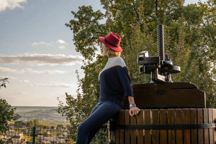 Visiter la champagne entre epernay et reims : points de vue à Champillon