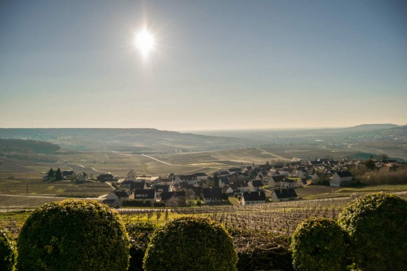 Visiter la champagne entre epernay et reims : Hautvillers