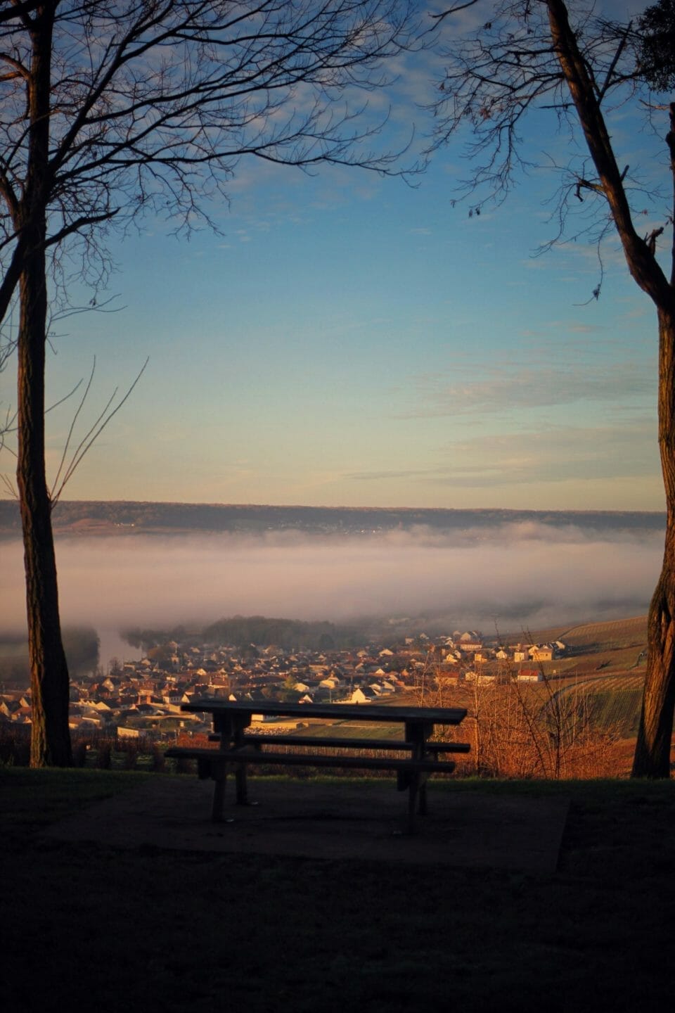 Visiter la champagne entre epernay et reims : Hautvillers