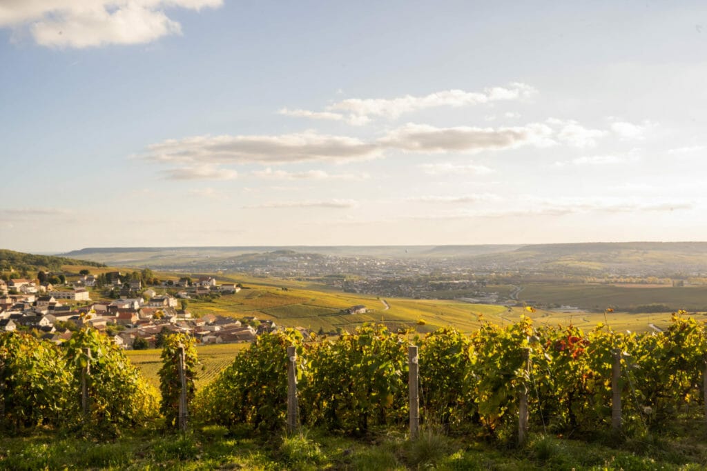 Champagne region autumn
Best scenic view around Epernay