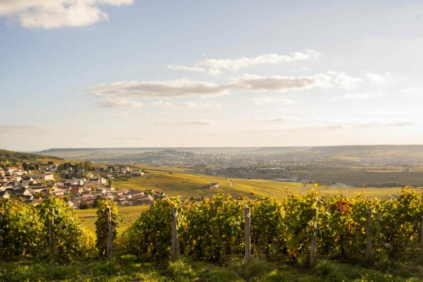 Champagne region autumn
Visit Champagne in Autumn
Enjoy the beautiful colors
Come to Epernay, the capital of Champagne, classified as a UNESCO World Heritage Site