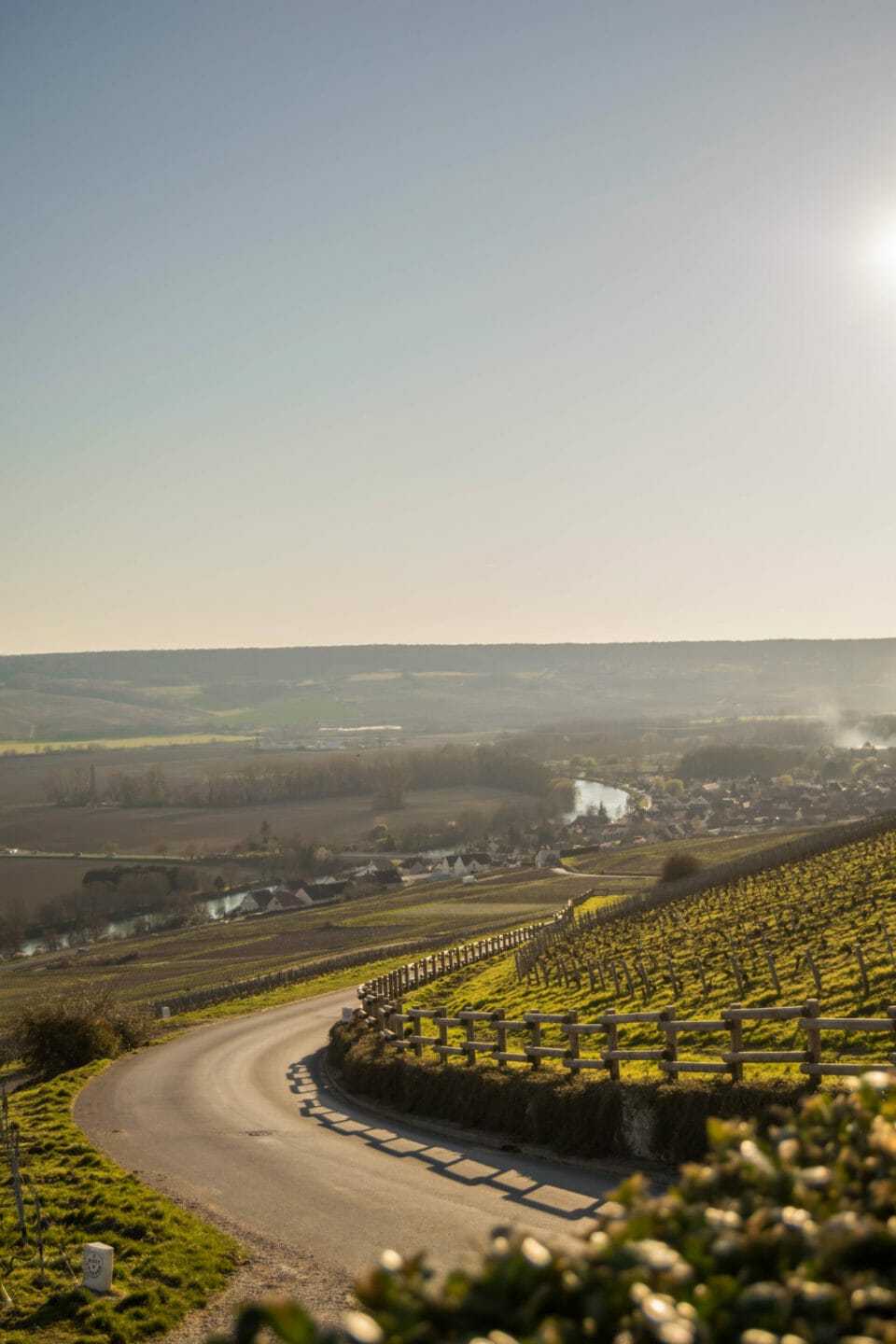 Route entre Hautvillers et cumières
Champagne France
Parmis les plus beaux villages autour d'Epernay en champagne