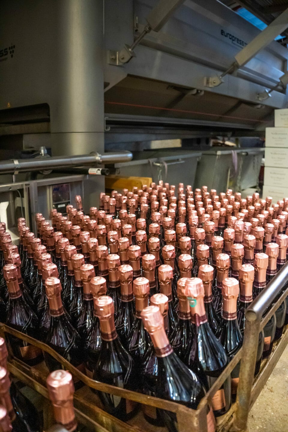 Cellar of the champagne house Vollereaux
A Champagne house in Pierry near Epernay in Champagne