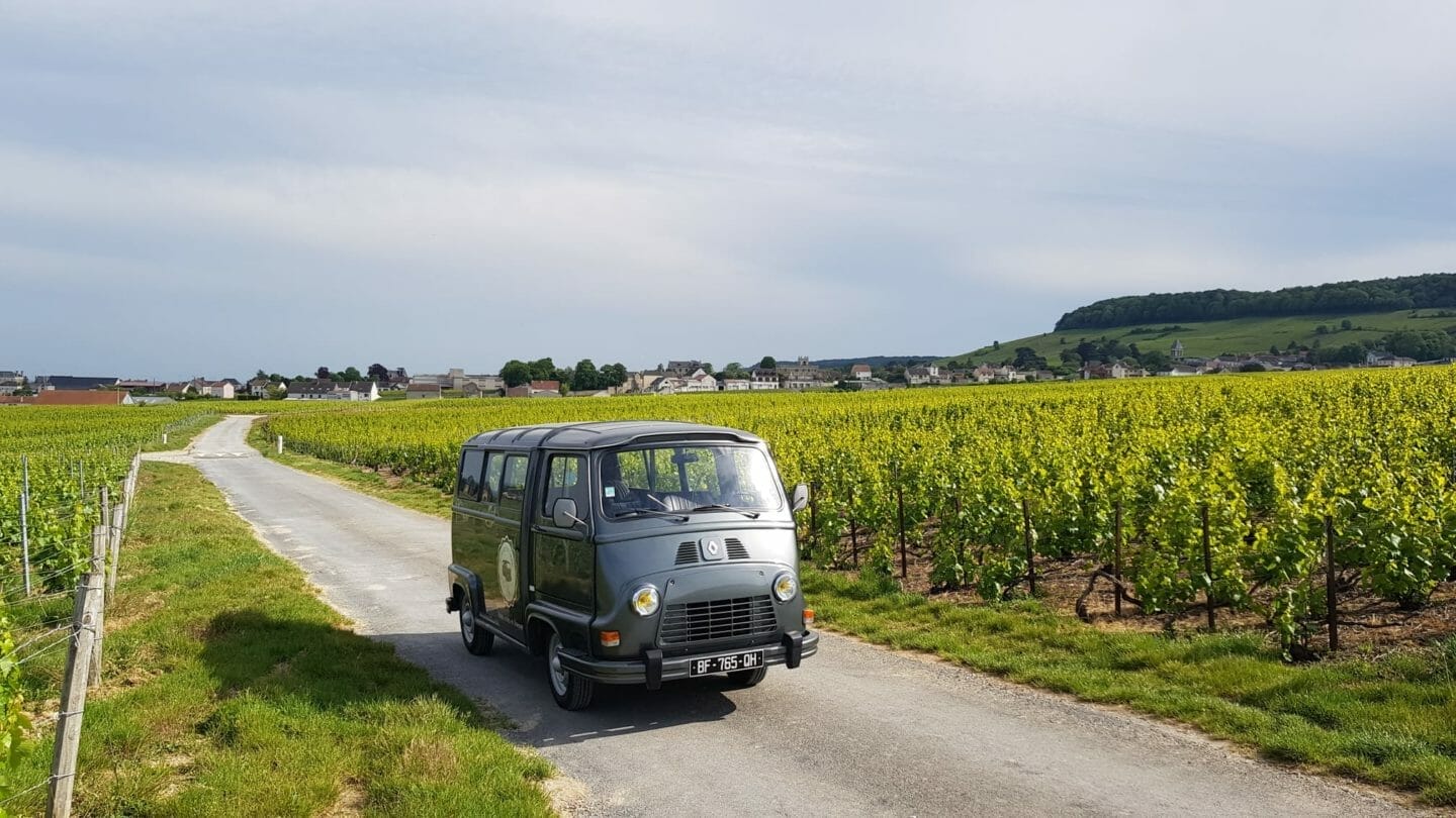 Guide Tour My vintage Tour on sunday in Epernay or Reims in champagne region