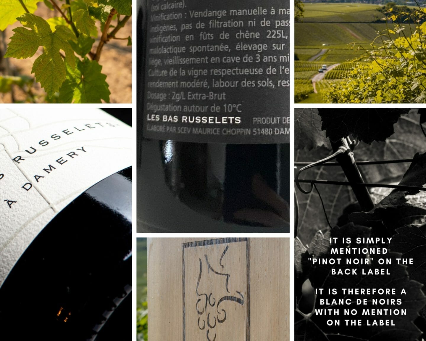 What you need to know to choose your champagne  Guide to choose your champagne 
Champagne Blancs de noirs