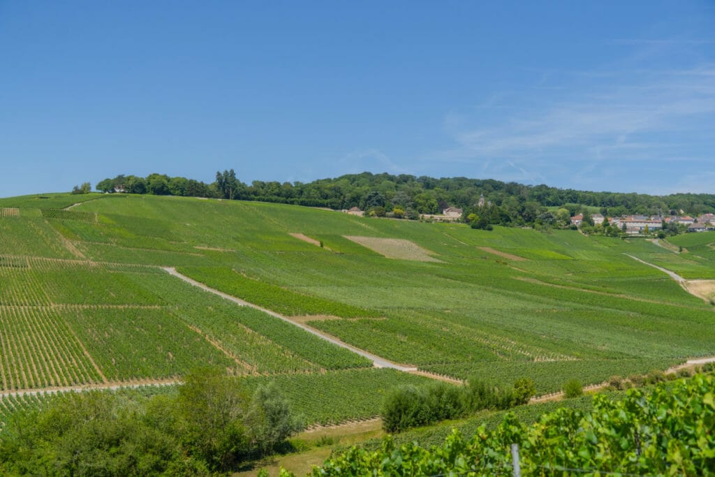 Hautvillers en Champagne - vignoble 