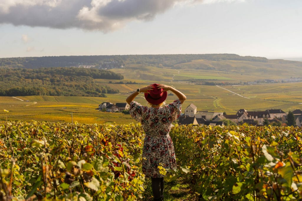 Stay guide for Champagne region - vineyards in autumn - Epernay - Reims