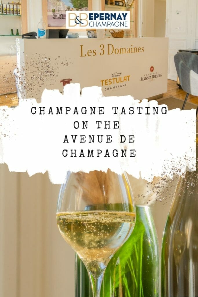 Champagne tasting at "Les 3 domaines" in heart of Champagne - Epernay