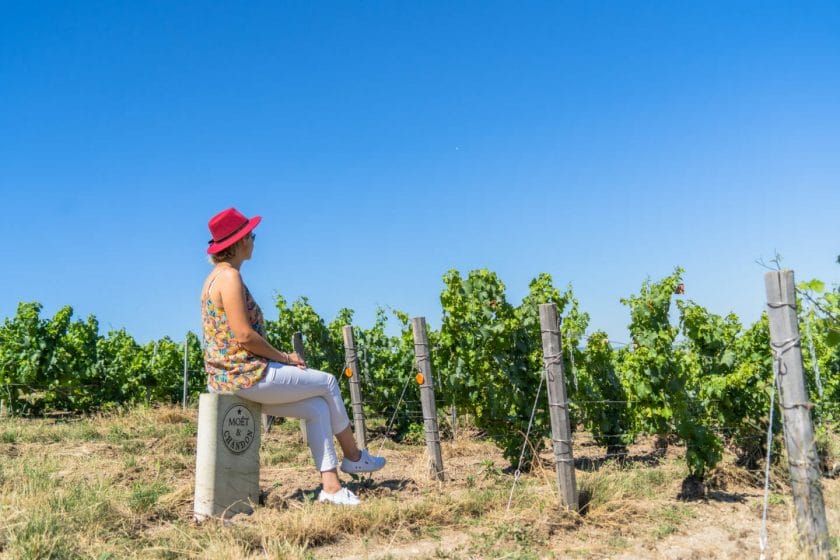 Epernay - Champagne - Our tips for Champagne tasting around Epernay