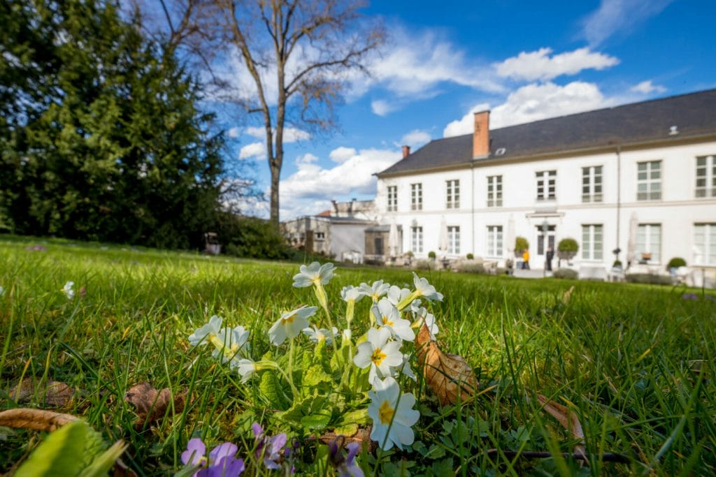 Les Avisés Avize - Champagne Selosse - Luxury hotel with confort