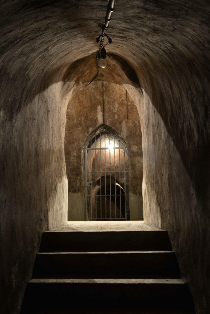 Visiter Ay-Champagne Dégustation et visite de cave -Champagne Egrot